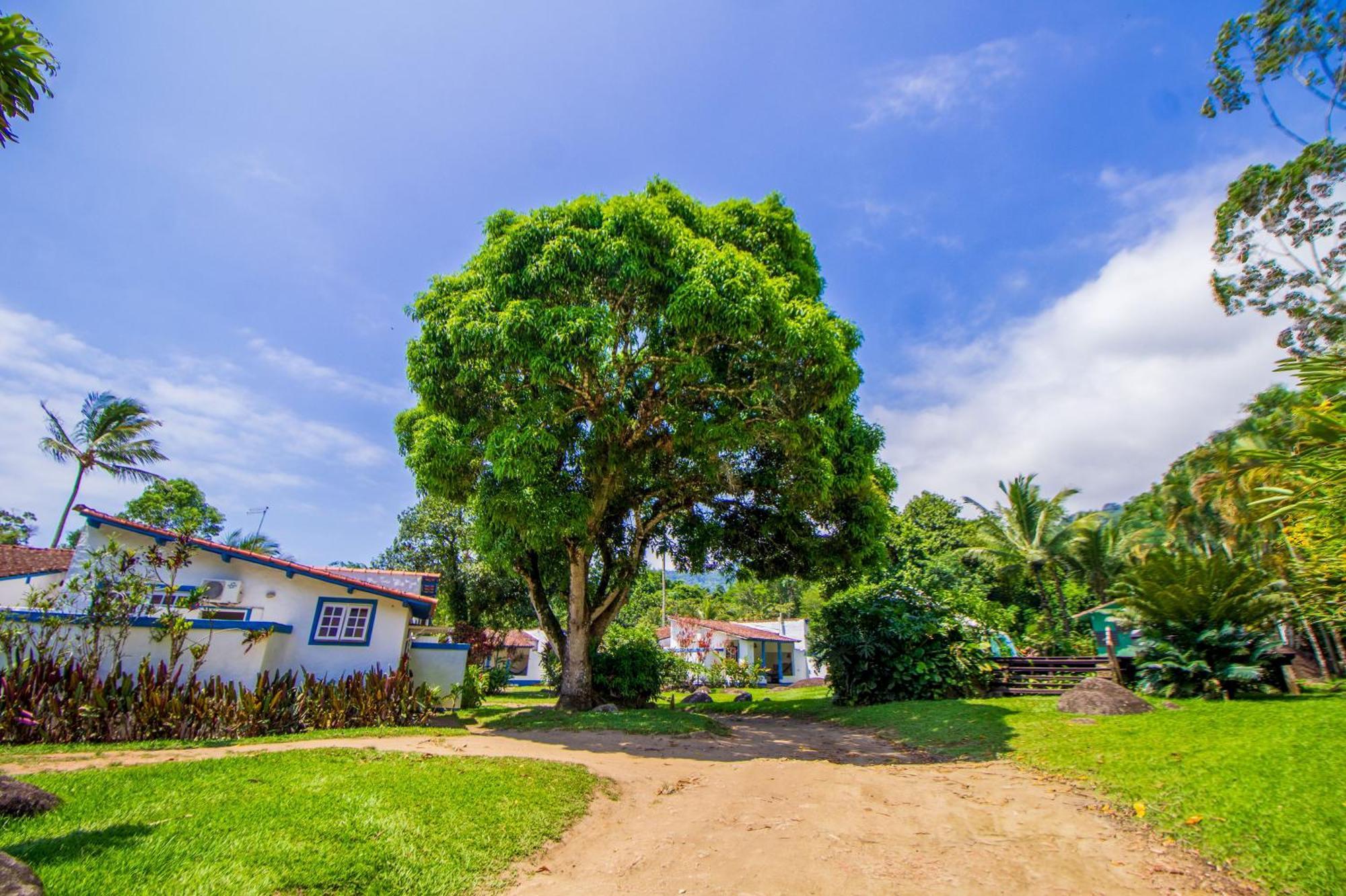 Velinn Bromelias 3* Ilhabela