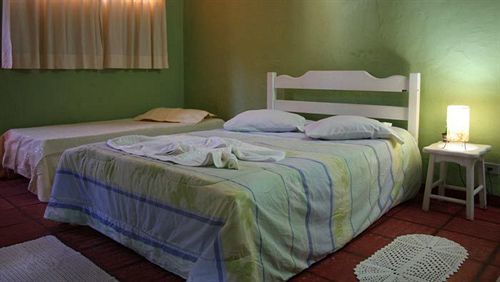 Inn Velinn Bromelias